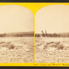 Crater of Grand Geyser.