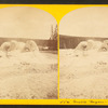 Grotto Geyser.