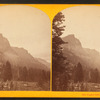 Upper cañon of Middle Creek.