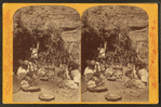Kai-vav-its, a tribe of Pai Utes living on the Kai-bab Plateau near the Grand Cañon of the Colorado in Northern Arizona : Chu-ar-ru-um-peak and family.