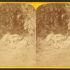 Indians of the Colorado Valley.  No. 73.
