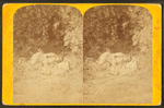Indians of the Colorado Valley.  No. 73.