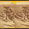 On the Color. plateau, near Zion National Park, Utah.