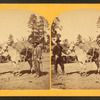 Mountain transportation. Pack mule, pack, and packers.