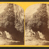 "The Bath," a dripping spring in Kanab Cañon. Temperature 69° Fahr.