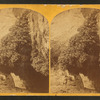 "The Bath," a dripping spring in Kanab Cañon. Temperature 69° Fahr.