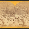 Apache scouts, at Apache Lake, Sierra Blanca range.