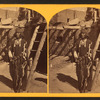 War Chief of the Zuni Indians.