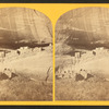 Ruins in Cañon de Chelle, N.M., in a cavity in the wall, 80 ft. above present bed of cañon.