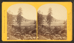Cooley's Ranch, 10 miles east of Camp Apache, Arizona.