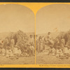 Group of Coyotero Apaches, near Camp Apache, Arizona.