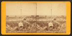 Interior Fort Moultrie [?], 1869.