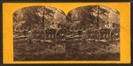 The 30 lb. [...] parrot guns that shelled Charleston from Morris Island.