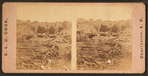 Interior of Fort Sumter, 1863-65. ("Madly disfigured but still in the ring.")