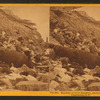 Sea face of Fort Sumpter [Sumter], showing broken guns, shot, shell, etc., Charleston, S.C.
