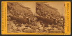 Sea face of Fort Sumpter [Sumter], showing broken guns, shot, shell, etc., Charleston, S.C.