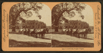 California Freight Wagon. [no. 9473]