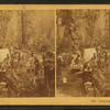 Camping Out, California. [no. 970]