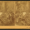 Camping Out, California. [no. 970]