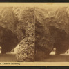 Conglomerate Rocks, Coast of California.