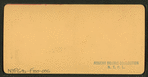 Burro train, with ore from the gold mines, Col. U.S.A.