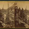 View of a road, a stream, and trees in the mountains.
