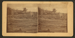 Logging in Maine.