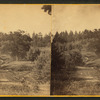View from near side of the spring.