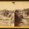 View from near side of the spring.