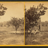 Barn and fruit trees.]