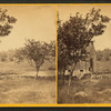 Barn and fruit trees.