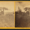 Barn and elms from east side of road.