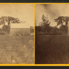 Barn and elms from east side of road.
