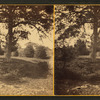 View from beyond the spring.