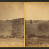 View across the plain, southward.