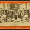 The Lightning Express, or, The Team of a Florida Cracker.