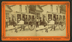 The Lightning Express, or, The Team of a Florida Cracker.