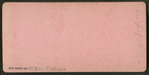 Group of natives. [Group portrait of children on benches.]