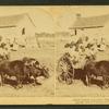 Rapid transit in southern Mississippi. [Large group of children on an oxcart.]