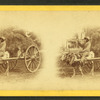 15th Amendment bringing his crop to town. [Man on an oxcart loaded with hay.]