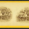 15th Amendment bringing his crop to town. [Man on an oxcart loaded with hay.]
