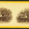 15th Amendment bringing his crop to town. [Man on an oxcart loaded with hay.]