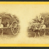 15th Amendment bringing his crop to town. [Man on an oxcart loaded with hay.]