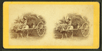 15th Amendment bringing his crop to town. [Man on an oxcart loaded with hay.]