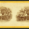15th Amendment bringing his crop to town. [Man on an oxcart loaded with hay.]