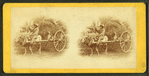 15th Amendment bringing his crop to town. [Man on an oxcart loaded with hay.]