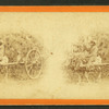 15th Amendment bringing his crop to town. [Man on an oxcart loaded with hay.]