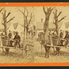 Lightwood Boy. [Boy in an oxcart loaded with kindling.]