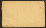 The cotton fields of the south. [Men picking cotton.]