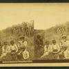 Southern blessedness, eating sugar cane. [Group of boys eating sugar cane in the field.]